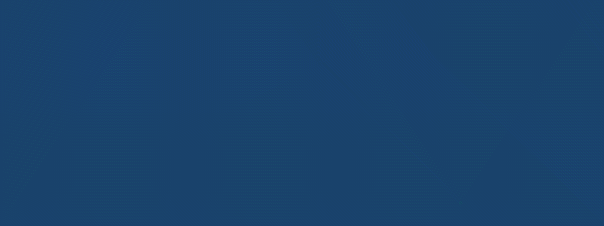 Qlik